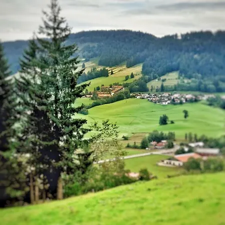 Appartement - Allgaeu